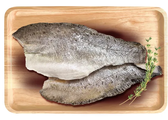 פילה דג לברק טרי