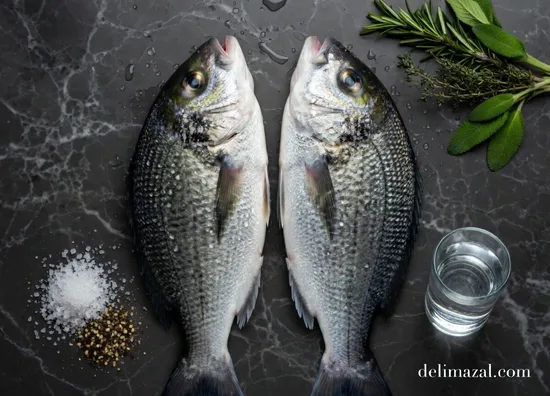 דג דניס שלם